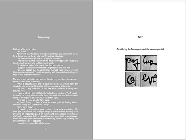 book interior